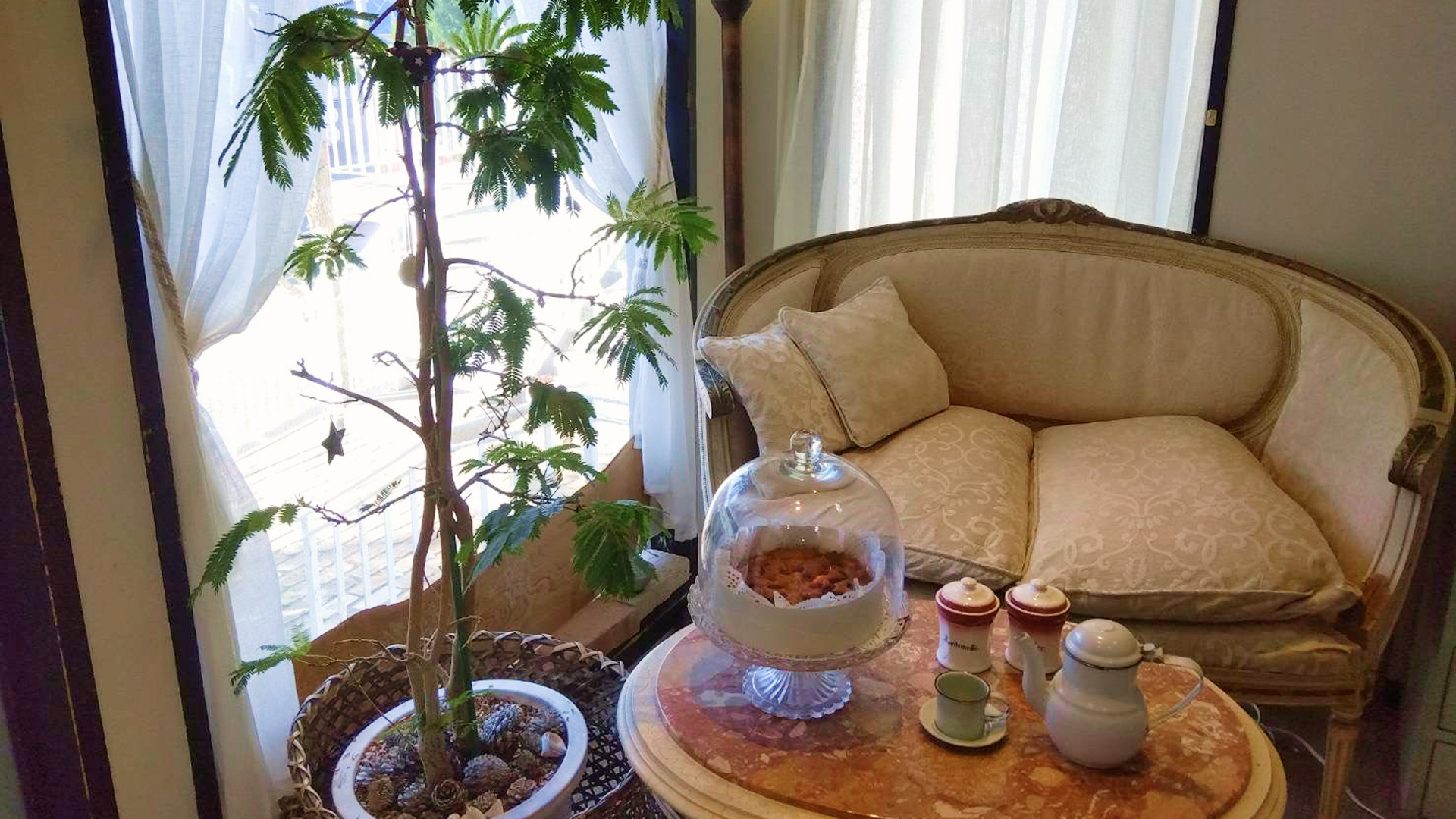 新商品の抹茶ショコラケーキ